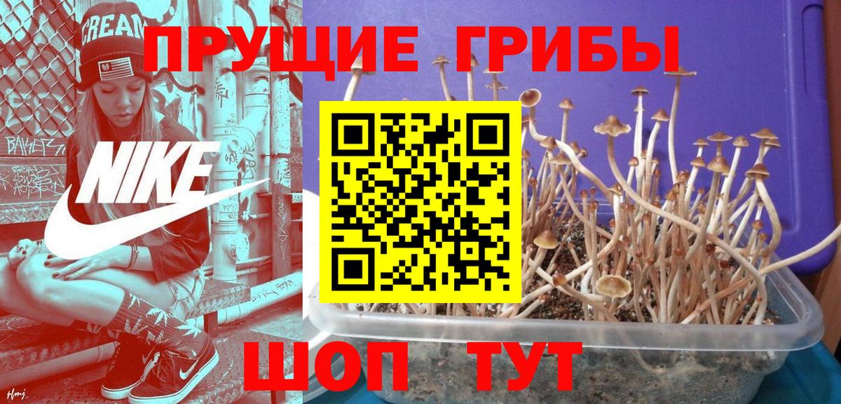 Минеральные Воды  Псилоцибиновые грибы мухоморы  Вход с VPN  Галлюциногенные грибы Psilocybine cubensis 